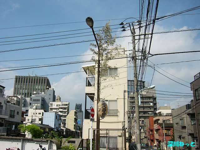 P1050312.jpg