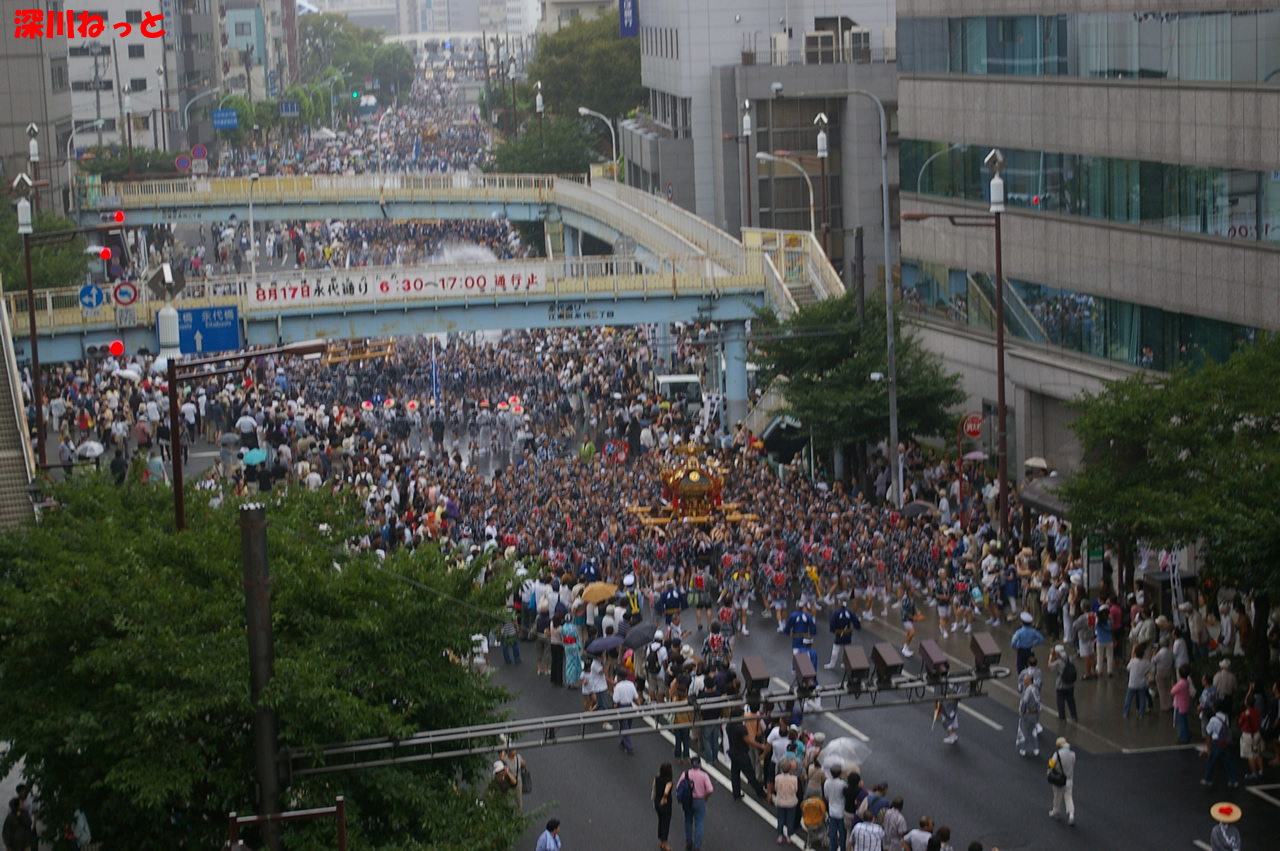 IMGP7155.jpg