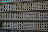 IMGP7017_thumb.jpg