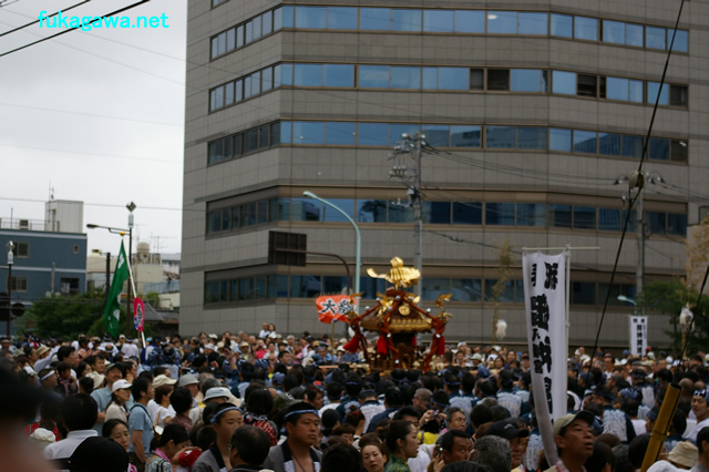 IMGP7068.jpg